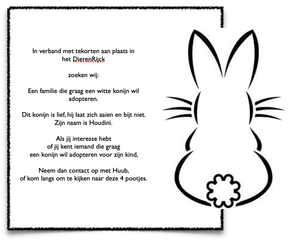 Wil jij een konijntje?